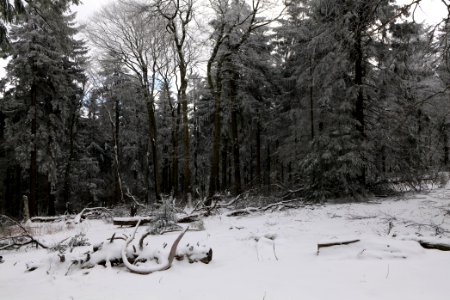 Großer Feldberg with snow 2021-04-06 18