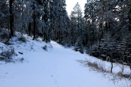 Großer Feldberg with snow 2021-04-06 09