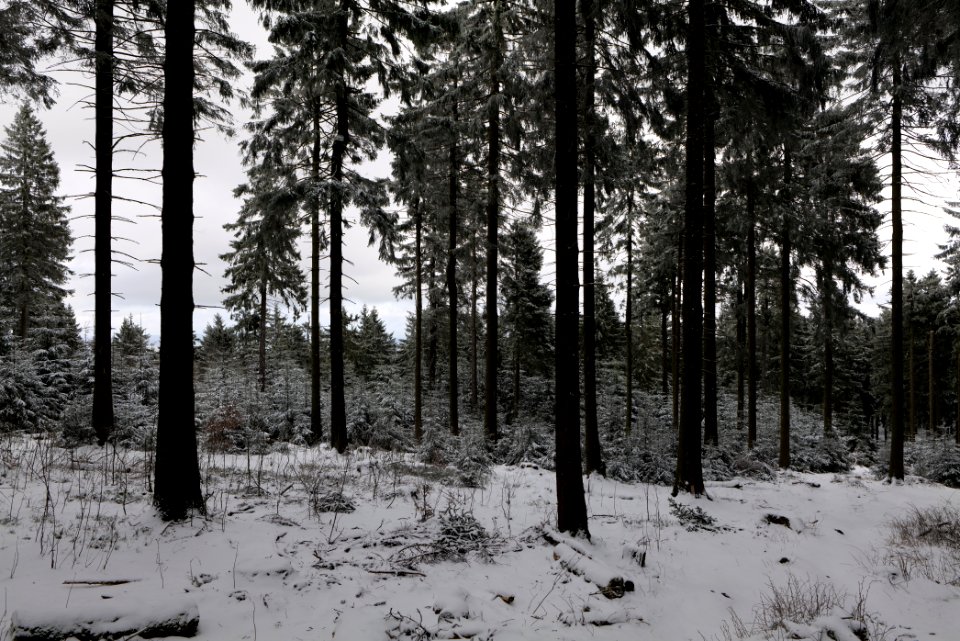 Großer Feldberg with snow 2021-04-06 23
