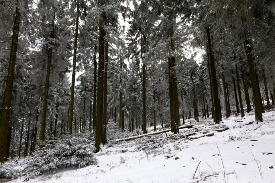 Großer Feldberg with snow 2021-04-06 26