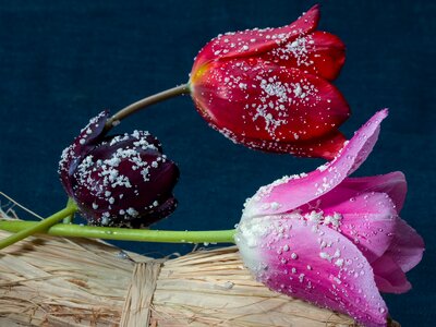 Flowers still life ceramic beads