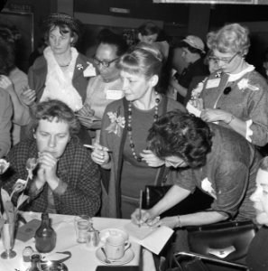 Groep van 65 dames uit Amerika in Nederland om te demonstreren tegen NATO, de da, Bestanddeelnr 916-4293