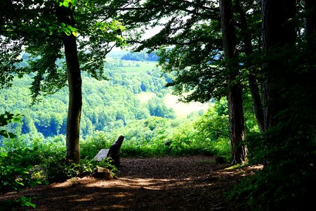 Swabian alb migratory possibility hike