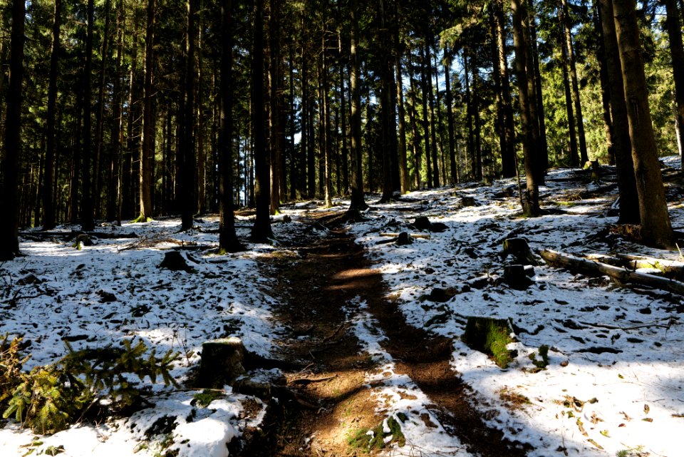 Großer Feldberg 2020-03-23 39