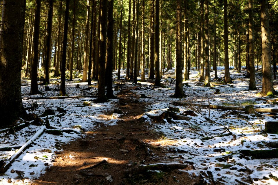 Großer Feldberg 2020-03-23 36