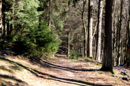 Großer Feldberg 2020-03-23 35