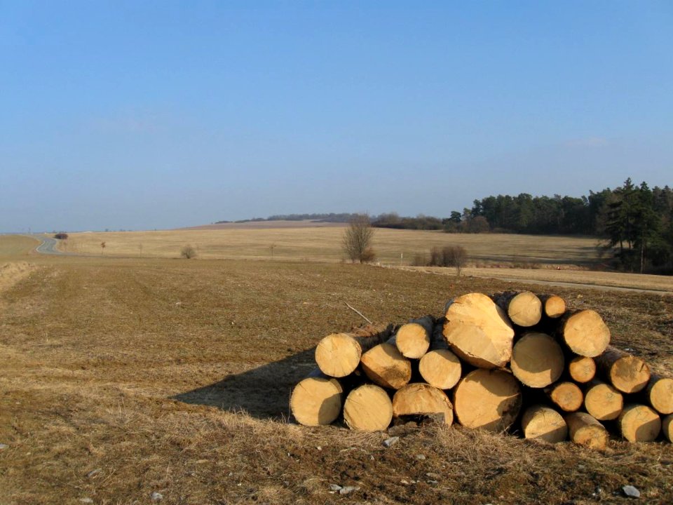 Harbechy v předjaří