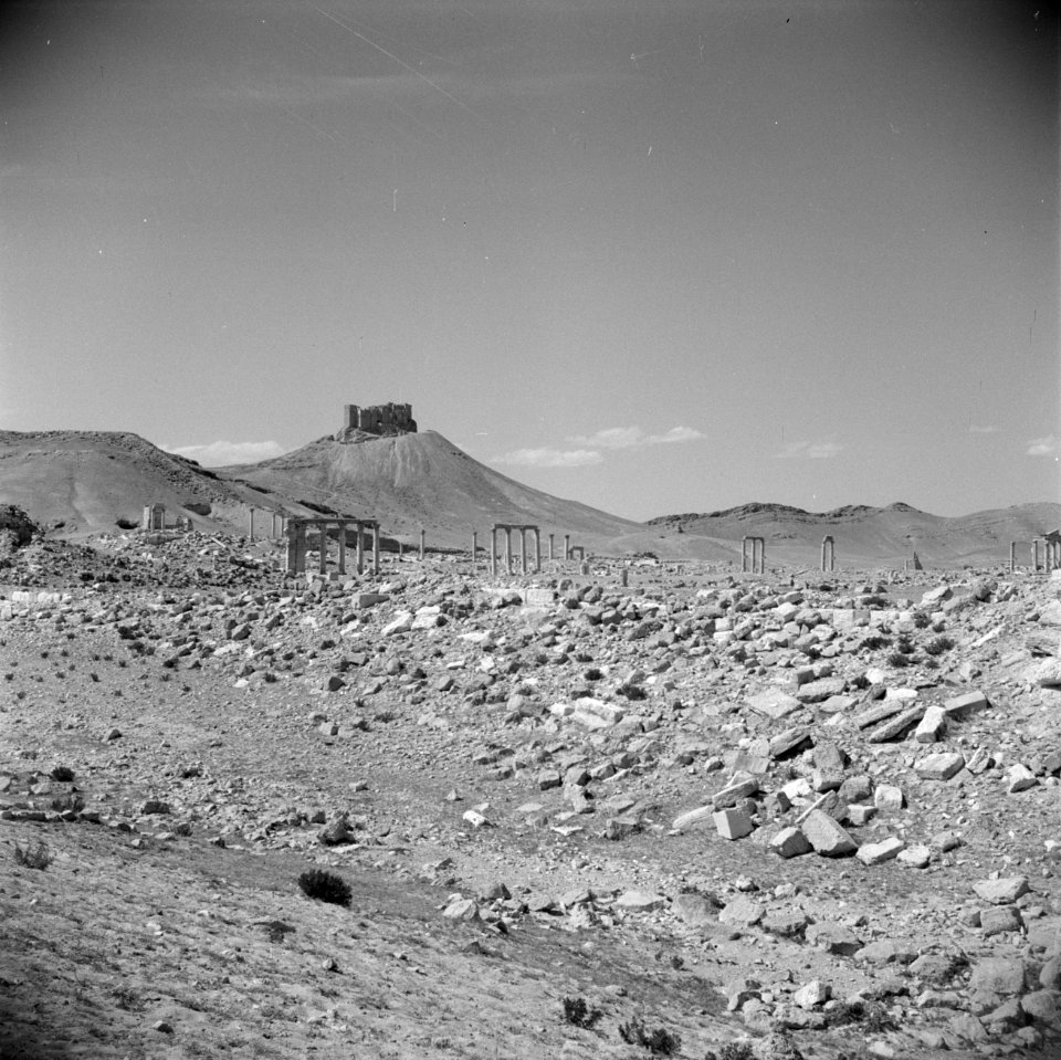 Het Arabisch fort nabij Palmyra Overblijfselen van Romeinse bouwwerken op de vo, Bestanddeelnr 255-6089