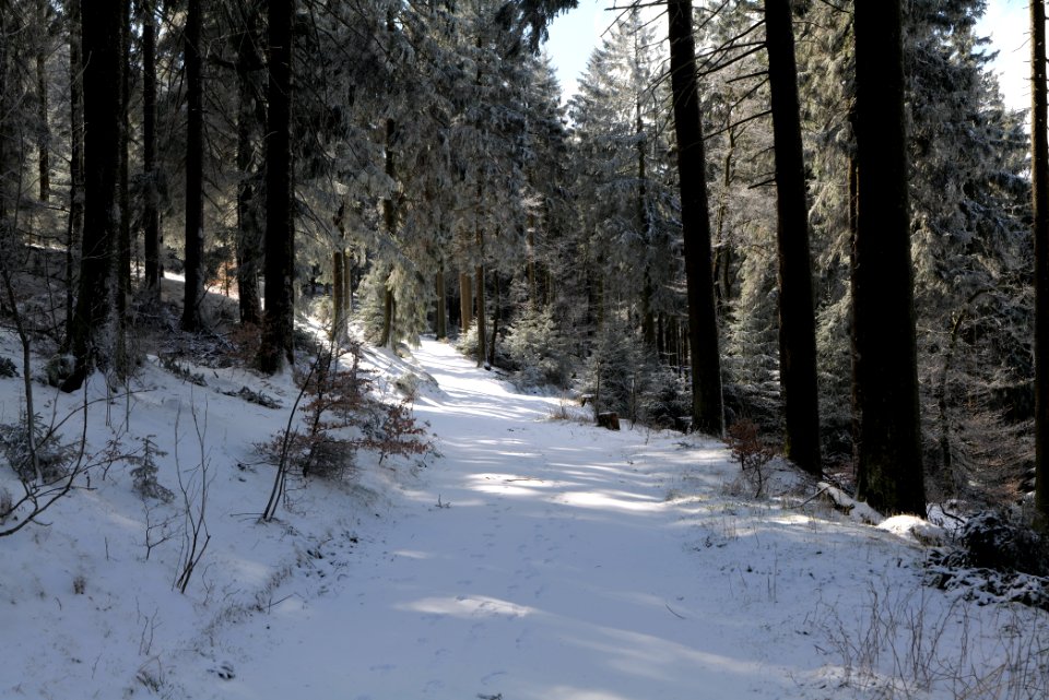 Großer Feldberg with snow 2021-04-06 10