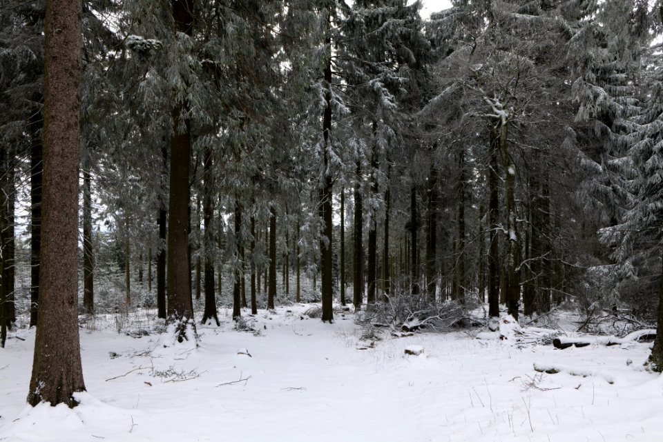 Großer Feldberg with snow 2021-04-06 20
