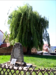 Großbrembach, Thuringia 10