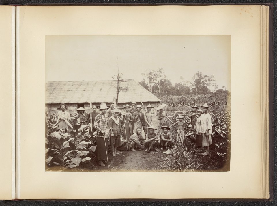 Groep van Chinese koelies, Bestanddeelnr 852 43