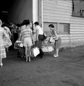 Groep passagiers met hun bagage vormen een wachtrij achter een hek bij het douan, Bestanddeelnr 255-2185 photo