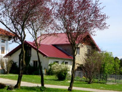 Großaschau 1 Frauenneuharting 1