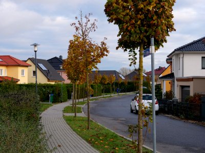 Großbeeren on 2019-11-05 05