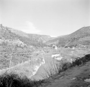 Het dal en de rivier Nahr el Kelb, Bestanddeelnr 255-6429
