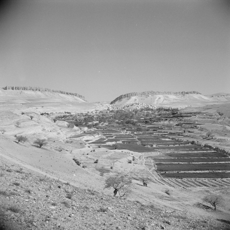 Het dorp Ain et Tina in de Anti-Libanon, Bestanddeelnr 255-6042