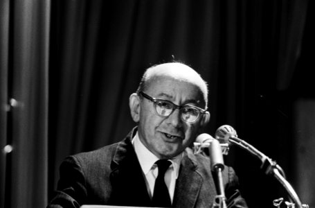 Het congres van de SAI te Amsterdam Dr Ernst Papanek namens de Amerikaanse soc, Bestanddeelnr 915-5133