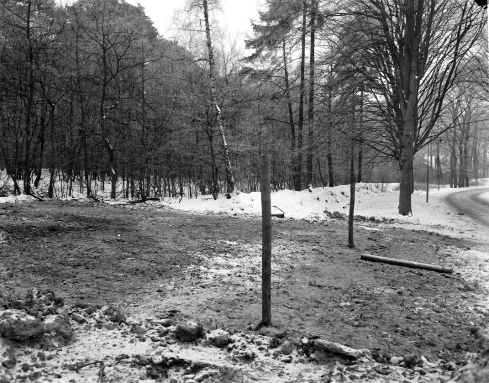Het bebosde terrein aan de Heyenoordseweg waar het Dorp zal verrijzen bij Arnh, Bestanddeelnr 914-7425