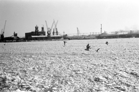 Het Amsterdamse IJ met zwaar drijfijs. Veerpont in Amsterdamse IJ, Bestanddeelnr 914-7163
