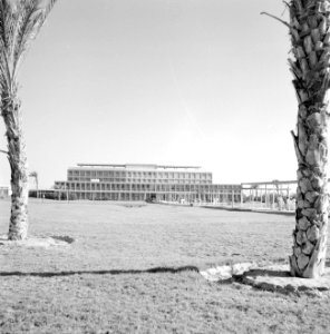 Het Beersjeba Hospital of Kupat Holim met pergola en twee palmbomen, Bestanddeelnr 255-3490