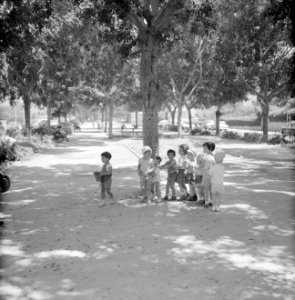 Groep spelende kinderen in de schaduw van een boom aan de Rothschild Boulevard, Bestanddeelnr 255-1755
