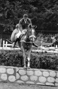 Het Concours Hippique International Officiel (CHIO) 1971 in Rotterdam, Bestanddeelnr 924-8870