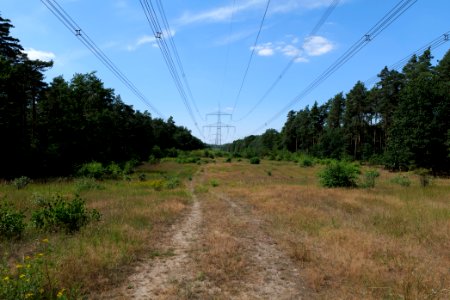 Herrensee, Lange-Damm-Wiesen und Barnim-Hänge 2020-08-05 19