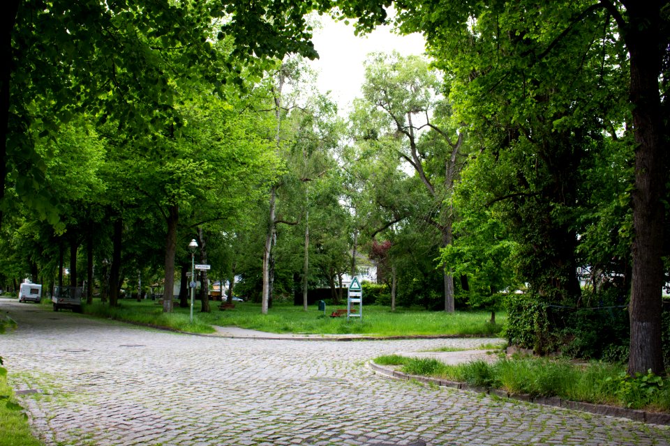Hermione-von-Preuschen-Platz 20140506 9
