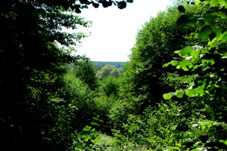 Herrensee, Lange-Damm-Wiesen und Barnim-Hänge 2020-08-05 143