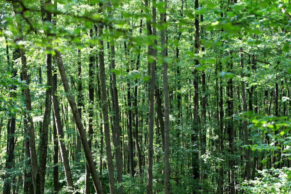 Herrensee, Lange-Damm-Wiesen und Barnim-Hänge 2020-08-05 160