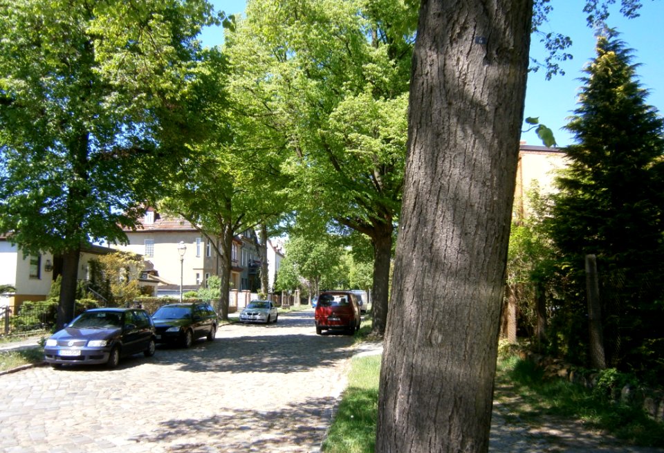 Hermsdorf-Seestraße-Süd-P5150364 (2)