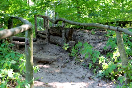 Herrensee, Lange-Damm-Wiesen und Barnim-Hänge 2020-08-05 153