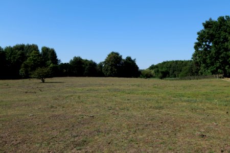 Herrensee, Lange-Damm-Wiesen und Barnim-Hänge 2020-08-05 188