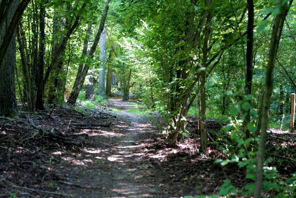 Herrensee, Lange-Damm-Wiesen und Barnim-Hänge 2020-08-05 147