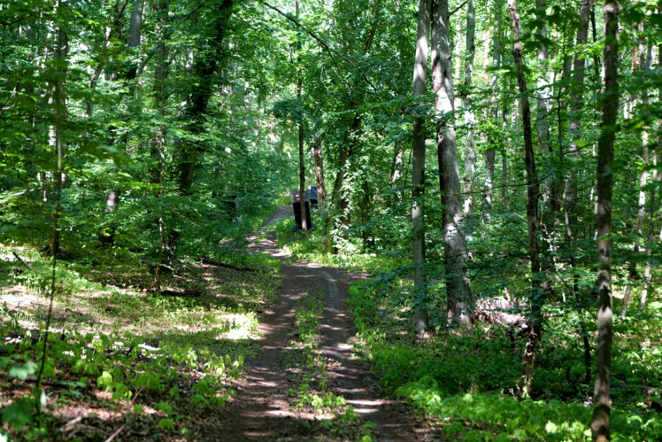 Herrensee, Lange-Damm-Wiesen und Barnim-Hänge 2020-08-05 109