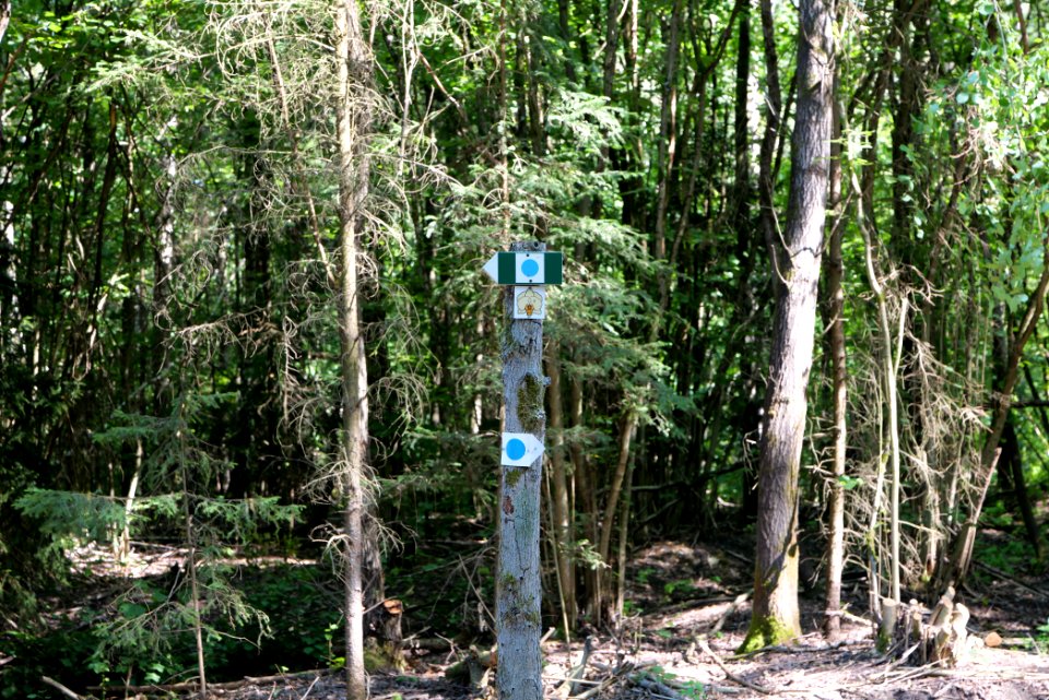 Herrensee, Lange-Damm-Wiesen und Barnim-Hänge 2020-08-05 122