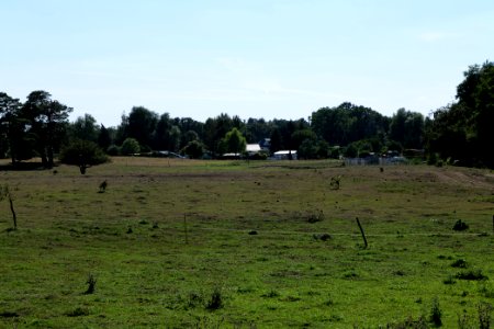 Herrensee, Lange-Damm-Wiesen und Barnim-Hänge 2020-08-05 180