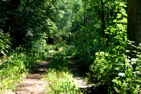 Herrensee, Lange-Damm-Wiesen und Barnim-Hänge 2020-08-05 116