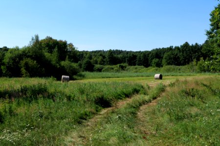 Herrensee, Lange-Damm-Wiesen und Barnim-Hänge 2020-08-05 128