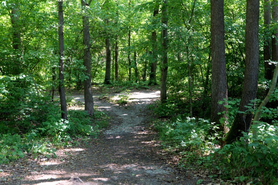 Herrensee, Lange-Damm-Wiesen und Barnim-Hänge 2020-08-05 100