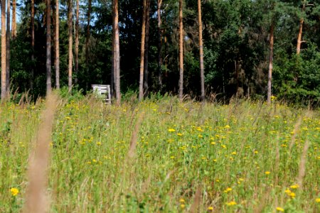 Herrensee, Lange-Damm-Wiesen und Barnim-Hänge 2020-08-05 01