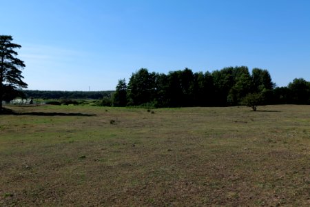 Herrensee, Lange-Damm-Wiesen und Barnim-Hänge 2020-08-05 186
