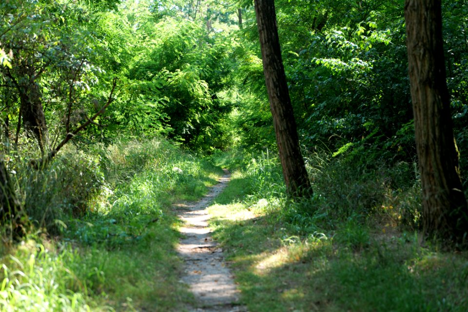 Herrensee, Lange-Damm-Wiesen und Barnim-Hänge 2020-08-05 165