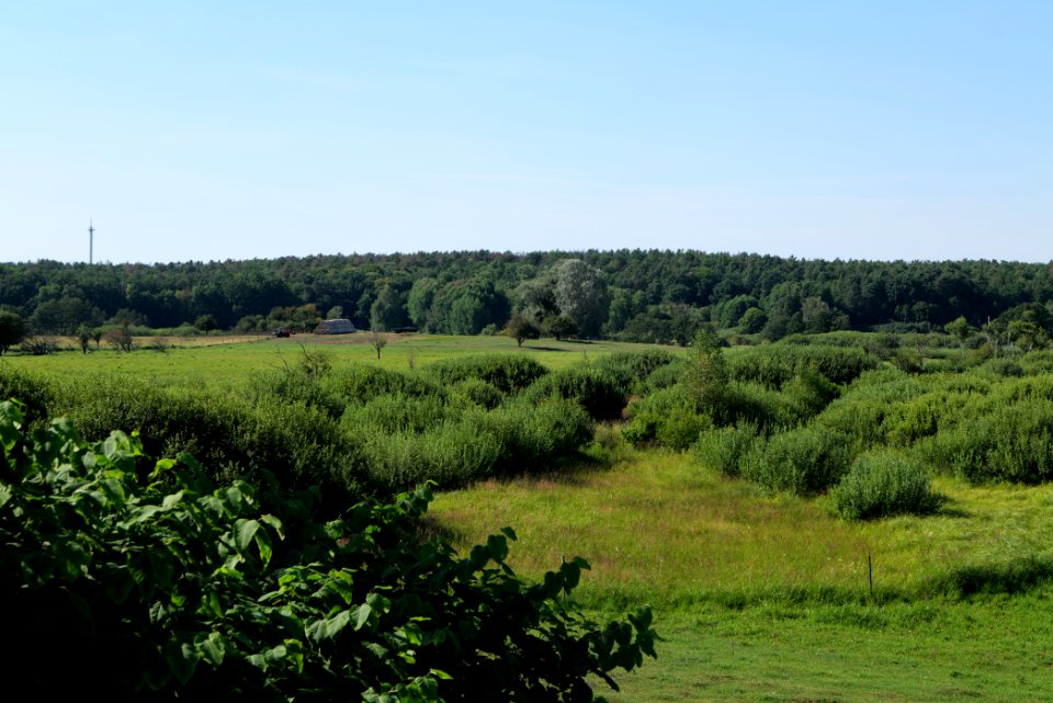Herrensee, Lange-Damm-Wiesen und Barnim-Hänge 2020-08-05 194