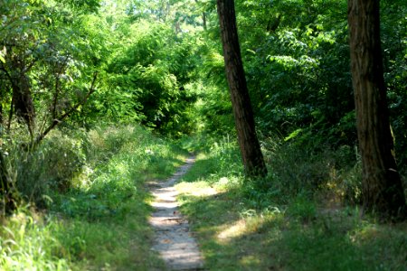 Herrensee, Lange-Damm-Wiesen und Barnim-Hänge 2020-08-05 164