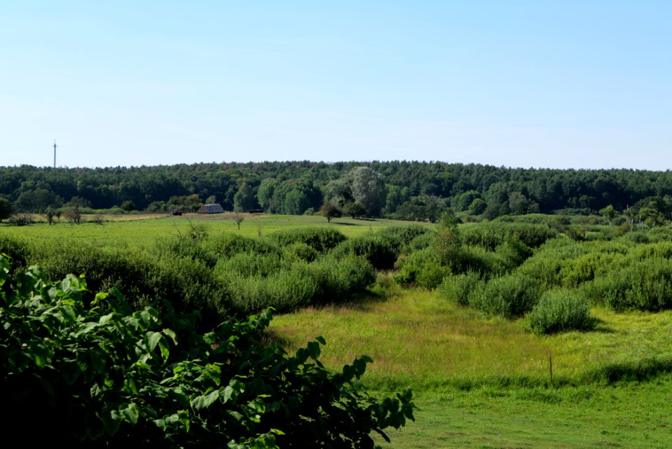 Herrensee, Lange-Damm-Wiesen und Barnim-Hänge 2020-08-05 195