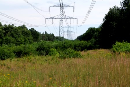 Herrensee, Lange-Damm-Wiesen und Barnim-Hänge 2020-08-05 05