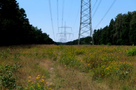 Herrensee, Lange-Damm-Wiesen und Barnim-Hänge 2020-08-05 07