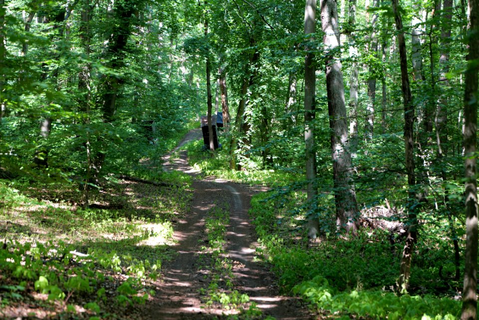 Herrensee, Lange-Damm-Wiesen und Barnim-Hänge 2020-08-05 108